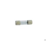 Fusible temporis� 5x20 1a r�f. 87168006670