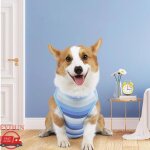 Fydun costume de r�cup�ration pour chien combinaison de r�cup�ration pour chien animalerie blouson bande ...