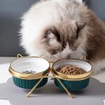 Gamelle double en cramique pour chat / chien sur support alimentaire 2 x 300 ml