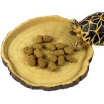 Gamelle pour reptiles bol deau et de nourriture pour geckos et tortues accessoires terraristiques.