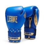 Gants de boxe leone dna