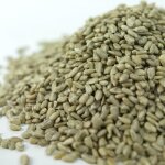 Gardenersdream graines de tournesol 75kg - graines de qualité supérieure pour la boulangerie daliments ... Gardenersdream graines de tournesol 75kg - graines de qualité supérieure pour la boulangerie daliments ...