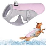 Gilet de refroidissement - chien - maille respirante - rglable - bleu / rose - xxxl