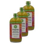 Gingerjoy - lot 3x gingerjoy - concentr� de gingembre bio - bouteille 480ml