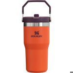 Gobelet flip straw avec poign�e 20 oz twist on lid and flip up straw r�sistant aux fuites 20 onces#tigerlily ...