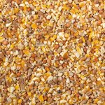 Grains d?levage pour poussin et caille miette duvoplus 20 kg