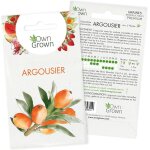 Graines dargousier : kit semences dargousier pour environ 5 semis � planter et faire pousser - graine ...