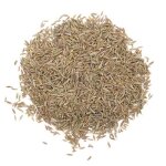 Graines de cumin plante aromatique pice sachet de 100 g