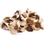 Graines enti�res de moringa sachet de 25 g �pices cuisine africaine