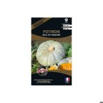 Graines potagres premium potiron bleu de hongrie