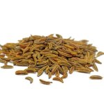 Graine - semence - anis vert (pimpinella anisum)