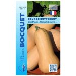 Graine - semence - courge butternut noix de beurre