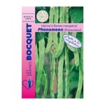 Graine - semence - haricot � rames mangetout ph�nom�ne (phenomeen)