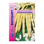 Graine - semence - haricot � rames soissons gros blanc - 100g
