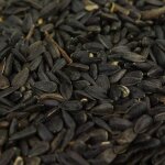 Graines de tournesol noir busybeaks - nourriture riche en huile pour oiseaux sauvages de jardin occupés. ... Graines de tournesol noir busybeaks - nourriture riche en huile pour oiseaux sauvages de jardin occupés. ...