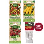 Graines - vilmorin - kit semis bio + 12 �tiquettes de marquage offertes