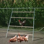 Grand perchoir poules - jouet & accessoire de poulailler pour lamusement et le bien - tre des poules ...
