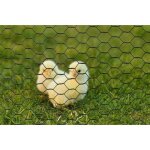 Grillage hexagonal galvanis� - nature - 05 x 3 m - ep. 13 mm - vert