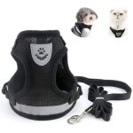 Harnais chat adulte collier et laisses pour chats anti - perte avec pendentif et grelots taille m