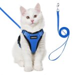 Harnais chat anti - vasion avec laisse bleu xxs harnais chaton petit chien rglable collier harnais ...
