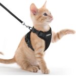 Harnais chat anti - vasion avec laisse noir xxs harnais chaton petit chien rglable collier harnais ...