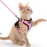 Harnais chat anti - vasion avec laisse rose xxs harnais chaton petit chien rglable collier harnais ...