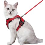 Harnais chat anti vasion avec laisse rouge m harnais chaton petit chien rglable collier harnais et ...