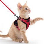 Harnais chat anti - vasion avec laisse rouge xxs harnais chaton petit chien rglable collier harnais ...