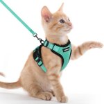 Harnais chat anti - vasion avec laisse vert xxs harnais chaton petit chien rglable collier harnais ...