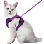 Harnais chat anti vasion avec laisse violet m harnais chaton petit chien rglable collier harnais et ...