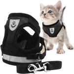 Harnais chatharnais pour chatlaisse harnais chatharnais laisse pour chatharnais pour chat avec laisse ... Harnais chatharnais pour chatlaisse harnais chatharnais laisse pour chatharnais pour chat avec laisse ...