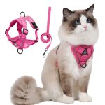 Harnais chat - harnais petit chien avec laisse rglable respirant reflchissant laisses colliers chat ...