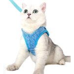 Harnais pour chat ultra - lgerensemble rglable avec laisse pour chatonchiotlapin et furet bleul pzcc Harnais pour chat ultra - lgerensemble rglable avec laisse pour chatonchiotlapin et furet bleul pzcc
