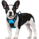 Harnais chien anti traction bleu clair xs harnais chien avec poignée facile à mettre gilet réglable réfléchiss ... Harnais chien anti traction bleu clair xs harnais chien avec poignée facile à mettre gilet réglable réfléchiss ...