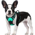 Harnais chien anti traction mente verte xs harnais pour petit chien avec poignée facile à mettre gilet ... Harnais chien anti traction mente verte xs harnais pour petit chien avec poignée facile à mettre gilet ...