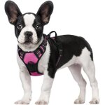 Harnais chien anti traction rose rouge xs harnais chien avec poign�e facile � mettre gilet r�glable r�fl�chiss ...