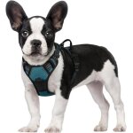 Harnais chien anti traction vert foncé xs harnais pour petit chien avec poignée facile à mettre gilet ... Harnais chien anti traction vert foncé xs harnais pour petit chien avec poignée facile à mettre gilet ...