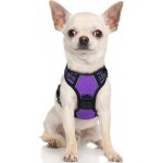 Harnais chien anti traction violet xs harnais pour petit chien avec poignée facile à mettre gilet réglable ... Harnais chien anti traction violet xs harnais pour petit chien avec poignée facile à mettre gilet réglable ...