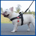 Harnais pour chien - confortable - r�fl�chissant - taille s - noir - poign�e de s�curit�