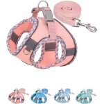 Harnais pour chien de petitemoyenne taille sans tractionensemble harnaislaisse pour chiotharnais pour ... Harnais pour chien de petitemoyenne taille sans tractionensemble harnaislaisse pour chiotharnais pour ...