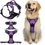 Harnais chien no pull harnais anti traction pour chien pour moyen chiens facile mettre violet l violet ...