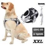 Harnais chien xxl - r�fl�chissant - anti traction - poign�e rembourr�e - noir