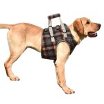 Harnais dassistance pour animaux de compagnie - support pour les pattes des chiens âgés handicapés après ... Harnais dassistance pour animaux de compagnie - support pour les pattes des chiens âgés handicapés après ...
