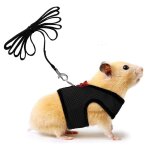 Harnais doux + laisse pour petits animaux avec clochette et n?ud papillon