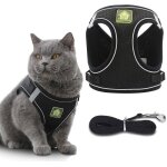Harnais et laisse pour chat avec laisse pour chaton : ensemble gilet rglable anti - fuite pour chats ...