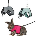 Harnais doux avec laisse 12 m pour lapins nains couleur aléatoire - animallparadise Harnais doux avec laisse 12 m pour lapins nains couleur aléatoire - animallparadise