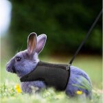Harnais pour lapins cochons dinde petits animaux avec laisse �lastique gilet souple pour promenade (s ...