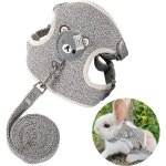 Harnais lapin réglable laisse pour lapin harnais en maille respirante pour petit animal anti - évasion ... Harnais lapin réglable laisse pour lapin harnais en maille respirante pour petit animal anti - évasion ...
