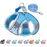 Harnais réfléchissant bleu - petsafe pro - taille xxs - respirant - anti - fugue - pour petits chiens ... Harnais réfléchissant bleu - petsafe pro - taille xxs - respirant - anti - fugue - pour petits chiens ...