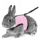 Harnais souple avec laisse pour lapins hamsters chats s rose